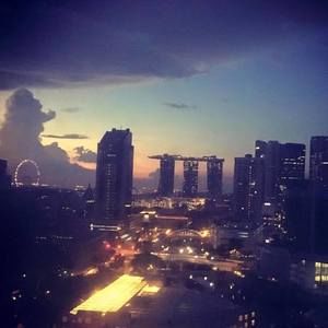 Meet your Posher, Halley